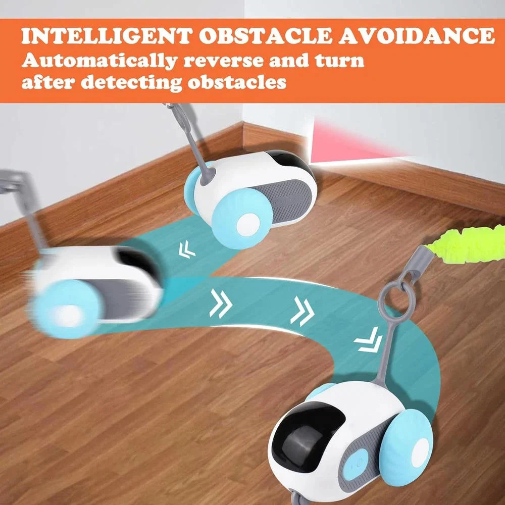 remote-control-cat-toys-41191494_2.jpg