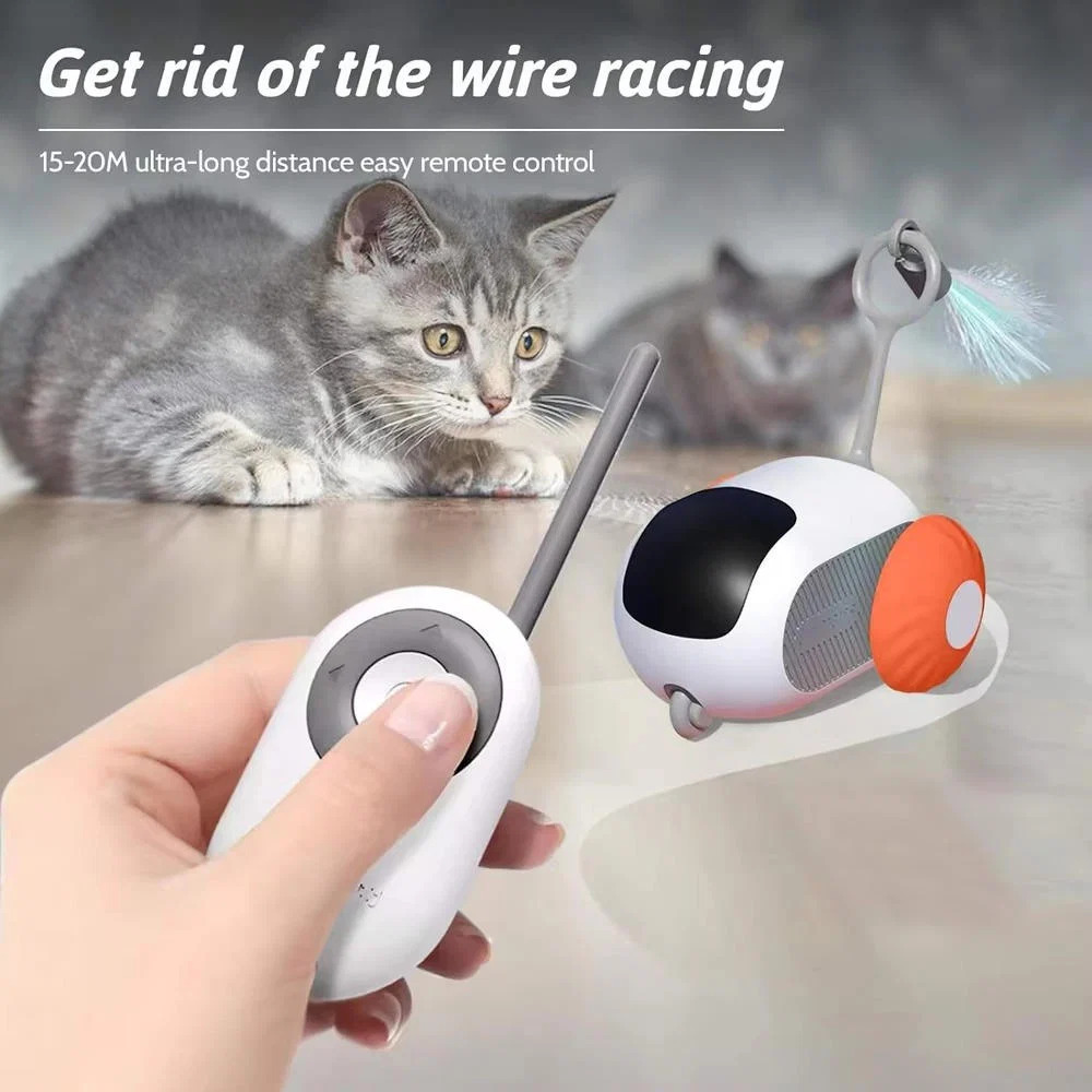 remote-control-cat-toys-41191494_3.jpg