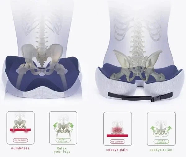 adjustable-memory-foam-sit-bone-relief-sea-41191019_6.jpg